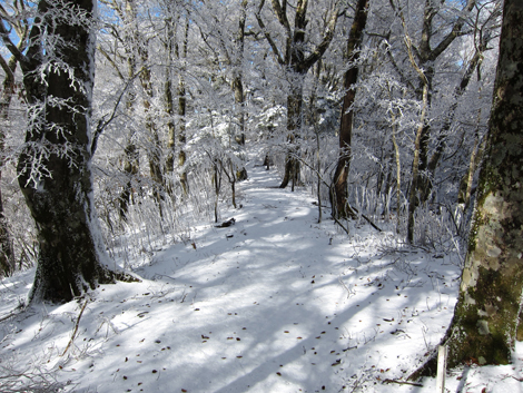 20191129hike (190)